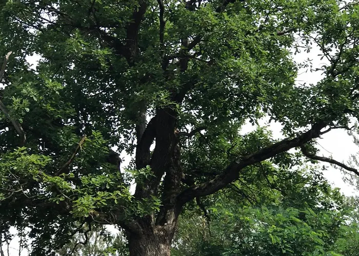 Casa Siepelunga Σπίτι διακοπών